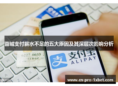 蓉城支付薪水不足的五大原因及其深层次影响分析 蓉城支付薪水不足的五大原因及其深层次影响分析