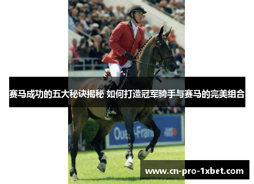 赛马成功的五大秘诀揭秘 如何打造冠军骑手与赛马的完美组合 赛马成功的五大秘诀揭秘 如何打造冠军骑手与赛马的完美组合