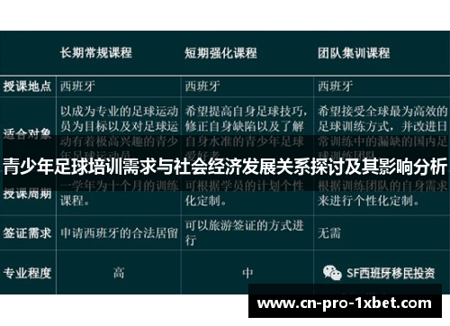 青少年足球培训需求与社会经济发展关系探讨及其影响分析 青少年足球培训需求与社会经济发展关系探讨及其影响分析