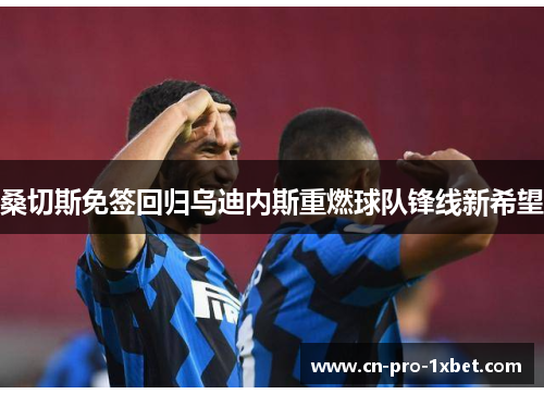 桑切斯免签回归乌迪内斯重燃球队锋线新希望